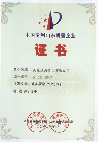 中國專利山東明星企業(yè)稱號(hào) 中國專利山東明星企業(yè)稱號(hào)